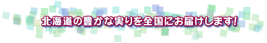 �k�C���̖L���Ȏ����S���ɂ��͂����܂��I