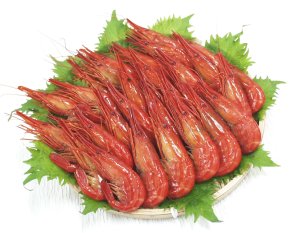 �k�C���܂���
