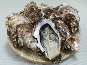 厚岸産牡蠣