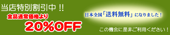 全商品10%OFF!送料無料になりました!