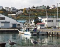 十勝港