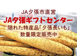 長いもの季節です! JA夕張ギフトセンター