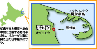 別海町尾岱沼地図 別海町尾岱沼地図