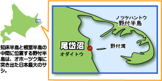 別海町尾岱沼地図